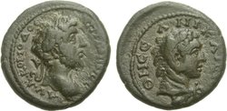 nikaia_commodus_RecGen274.jpg