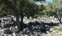 Termessos_Kolonnadenstraße_01.jpg