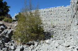 Termessos_Odeon_02.jpg