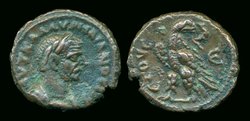 aurelian tetrdr adler j 5.jpg