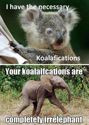 koalafications.jpg