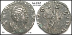 comp_313 Salonina.jpg