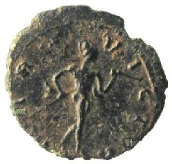 carausius 21.jpg