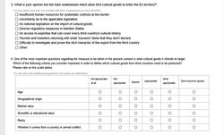 eu-formular (3).jpg