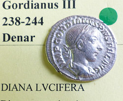 Gordidiana1.jpg