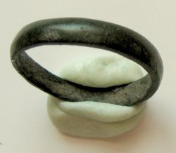 Ring 2.JPG