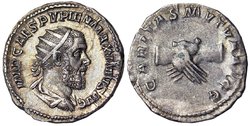 Pupienus2.jpg