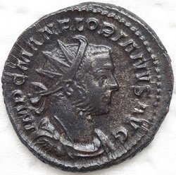 Florianus 276 Antoninian 4,84g Lyon RIC 9 A.JPG