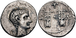 #564-Augustus-Lyre.jpg