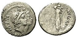 cordius_rufus_Cr463.1a.jpg