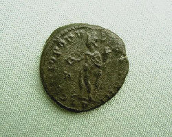 Follis Maximianus Rev.JPG