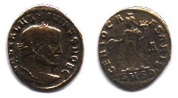 Goldfollis.jpg