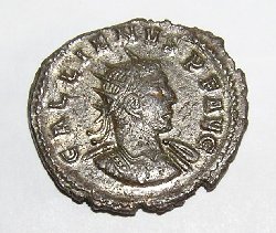 Gallienus_AV.jpg