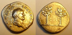 Vespasian denar cos V.jpg