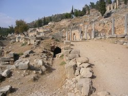 delphi_2 (4).jpg