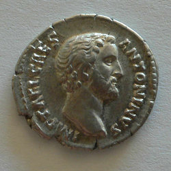 antoninus_caesar_av.jpg