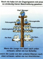 Organisation einer Firma.jpg