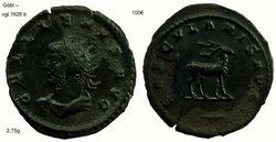 gallienus saecularis avg.jpg