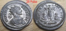 295 Probus.JPG