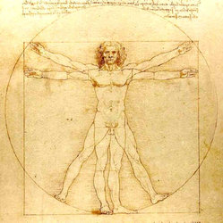 vinci vitruvian man.jpg