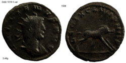 gallienus leg XI2.jpg