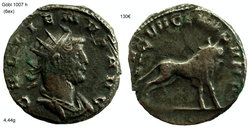 gallienus leg VII4.jpg