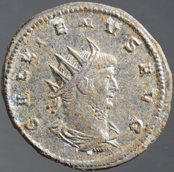 gallienus_goebl1616_av.jpg