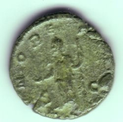 SaloninaAs1R.jpg