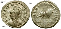 gallienus leg VII2.jpg