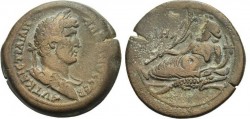 K640_Hadrian nilus kroko.JPG