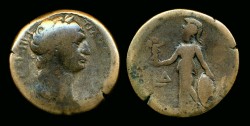 traj hemidr athena j 4.jpg