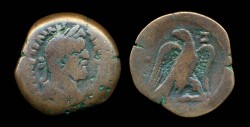 ant pius drachme adler j 17.jpg