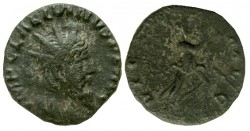 Laelianus1.jpg