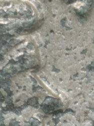 Severina_Detail.jpg