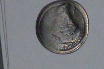 P1020453.JPG