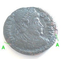 t_valentinainus_ob_152.jpg