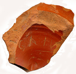 IMG.jpg