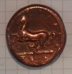 20140922_100353.jpg