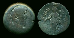l verus homon j 1.jpg