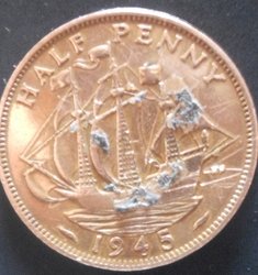 DSCI0982.JPG