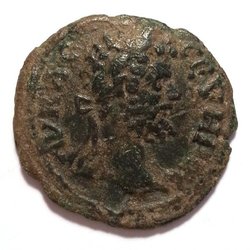 AMNG I-1, 1447 var. 193-211 Septimius Severus Av.jpg