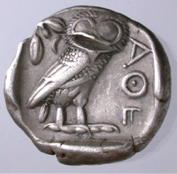 Donald Owl.jpg