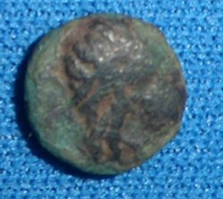 7a.jpg
