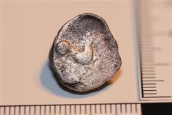 IMG_5844 (Mittel).JPG