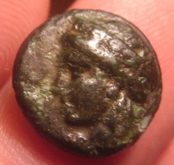 RIMG0004.JPG