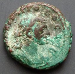 probal1.jpg
