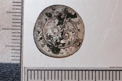 IMG_6040 (Mittel).JPG