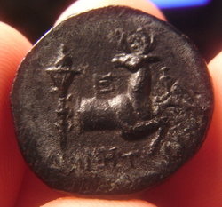 RIMG0003.JPG