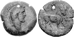 antpius-apis.jpg