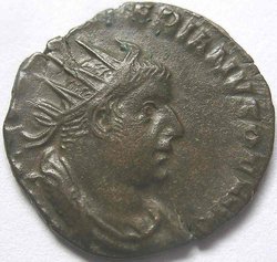 comp_IMGP0085-1.jpg (148.63 KiB) 1446 mal betrachtet comp_IMGP0085-1.jpg